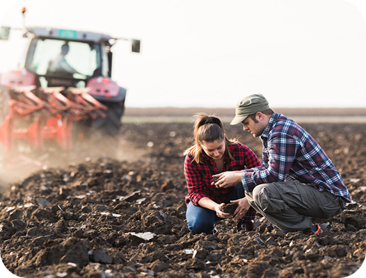 Illinois Farm Tax Appeal Services