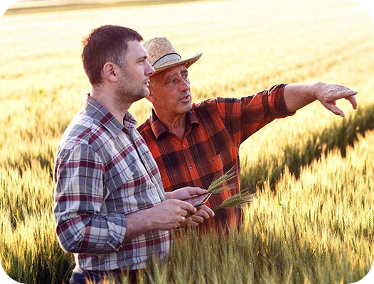 Illinois Farm Tax Appeal Services