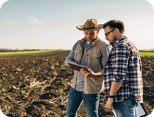 Illinois Farm Tax Appeal Services