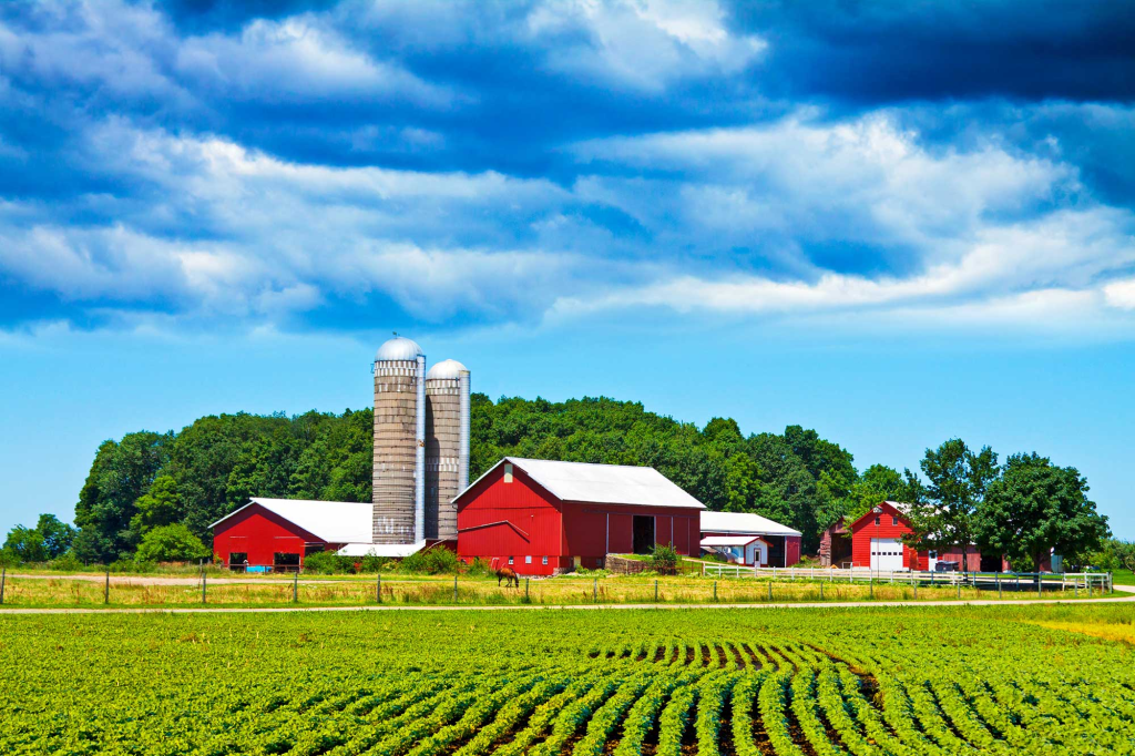 Illinois Farm Tax Appeal Services
