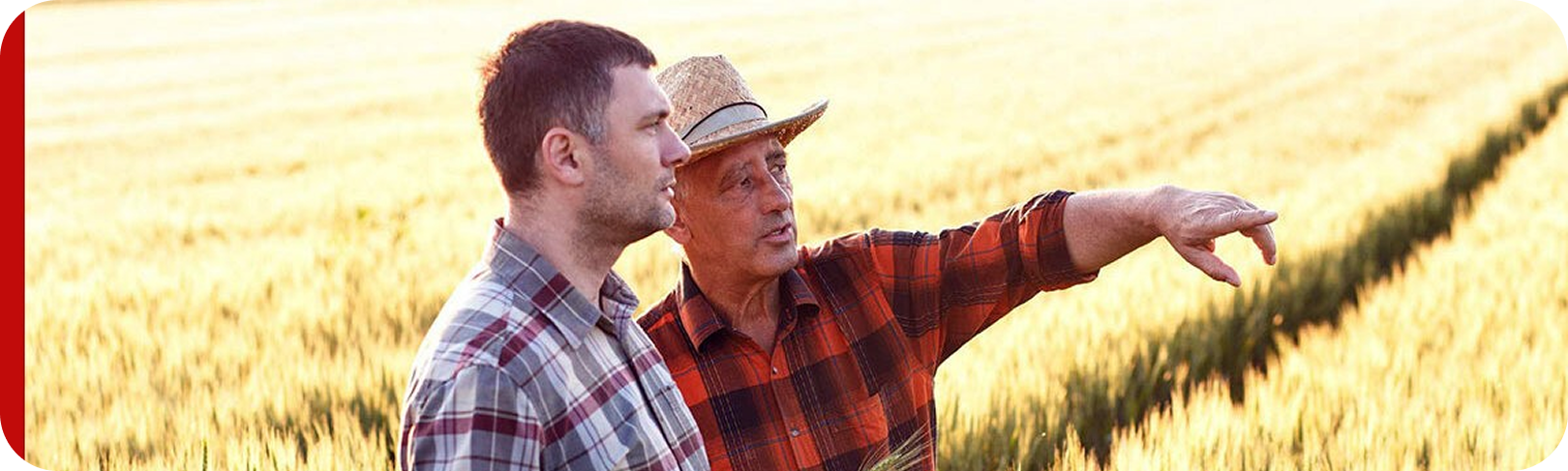 Illinois Farm Tax Appeal Services