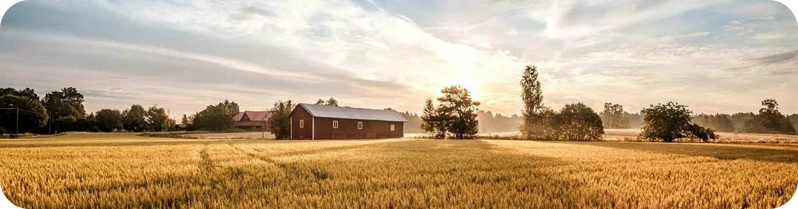 Illinois Farm Tax Appeal Services