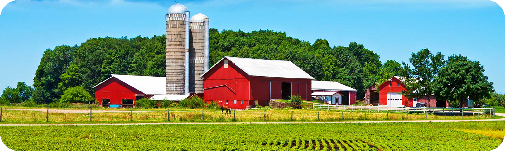 Illinois Farm Tax Appeal Services