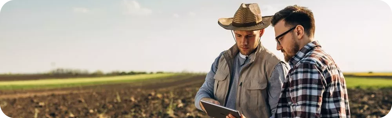 Illinois Farm Tax Appeal Services