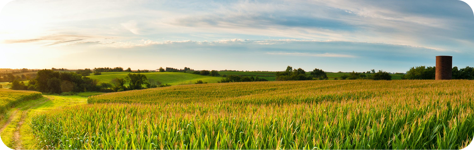 Illinois Farm Tax Appeal Services